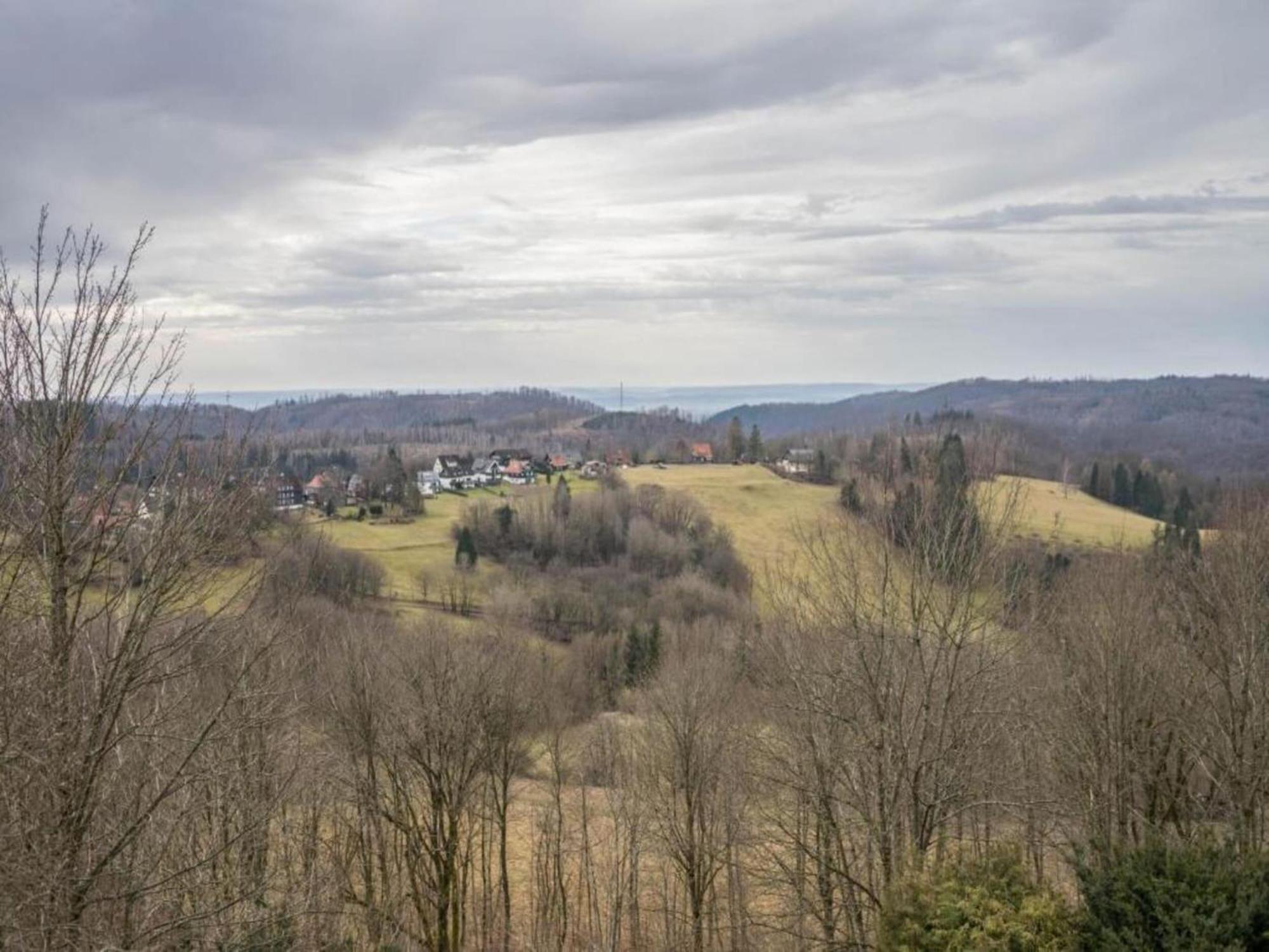 Cozy Apartment In Braunlage Near Forest Hohegeiß Extérieur photo