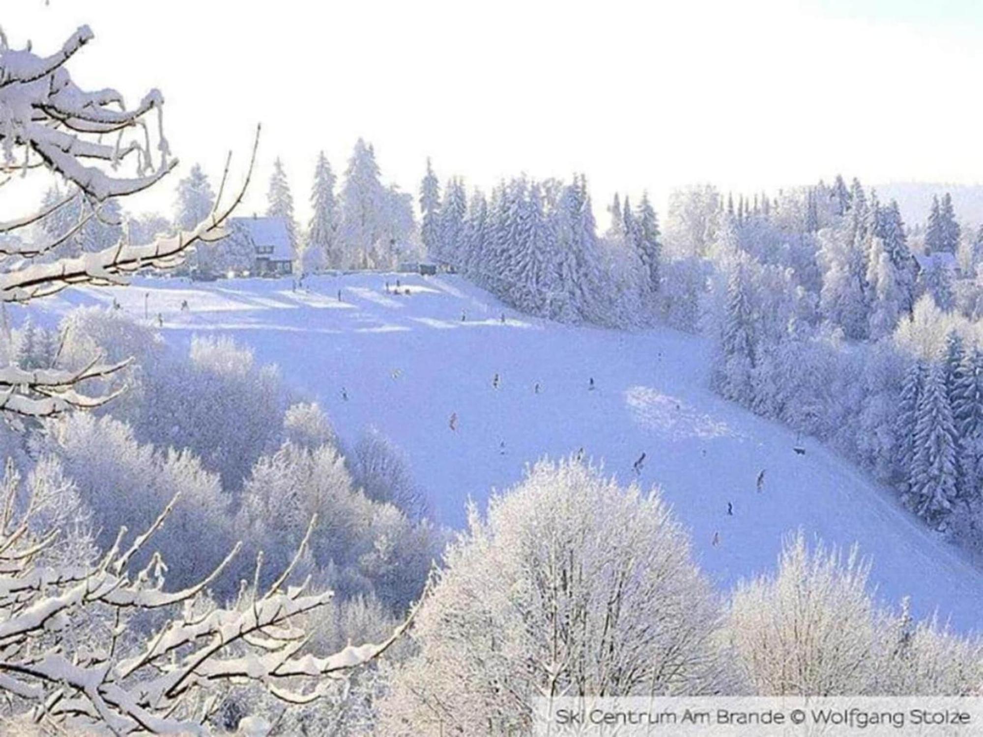 Cozy Apartment In Braunlage Near Forest Hohegeiß Extérieur photo